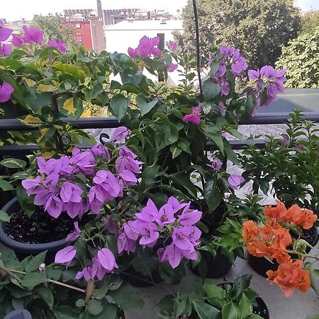Apartman Bella Vista Rijeka Apartment Luaran gambar