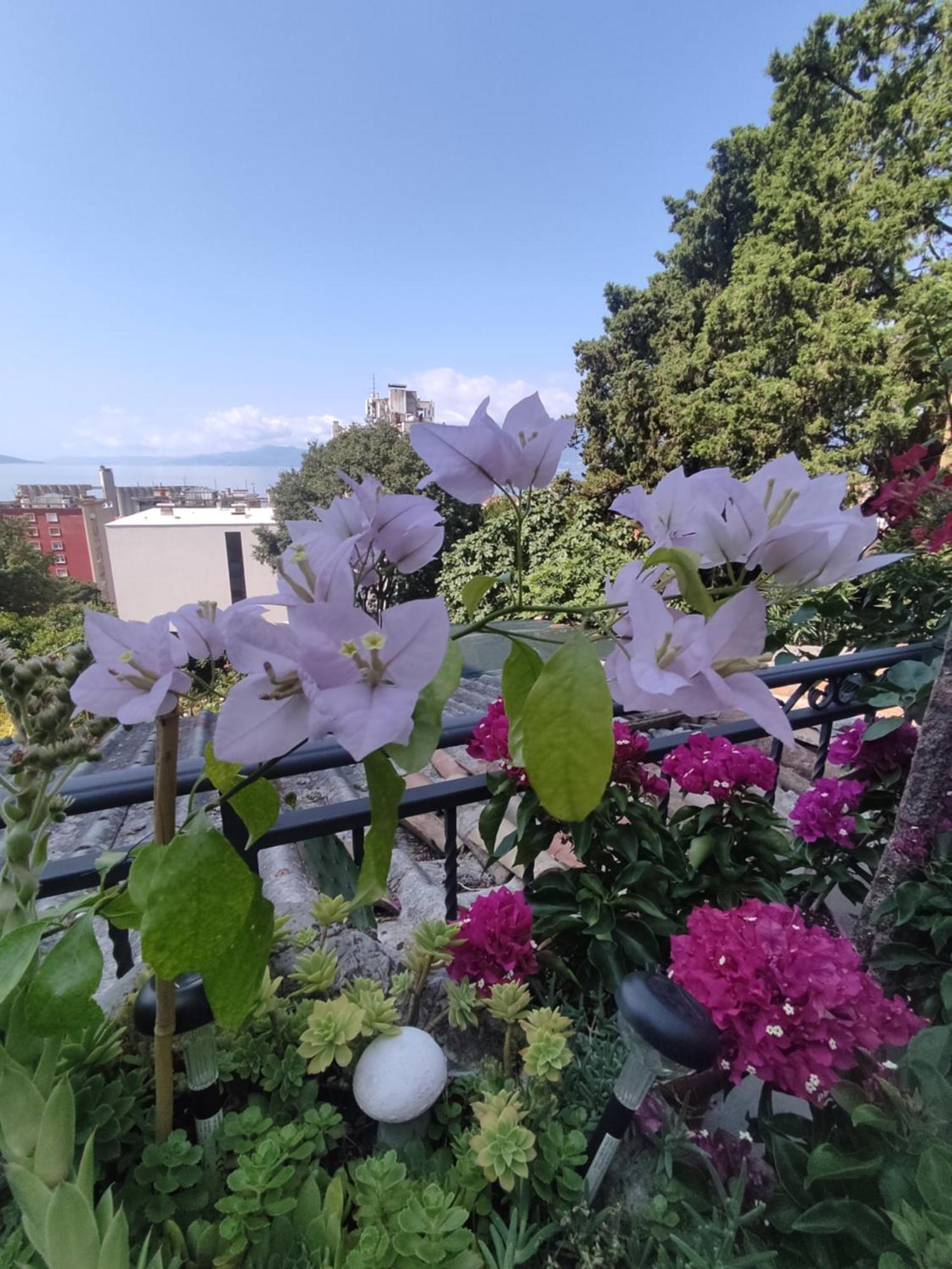 Apartman Bella Vista Rijeka Apartment Luaran gambar