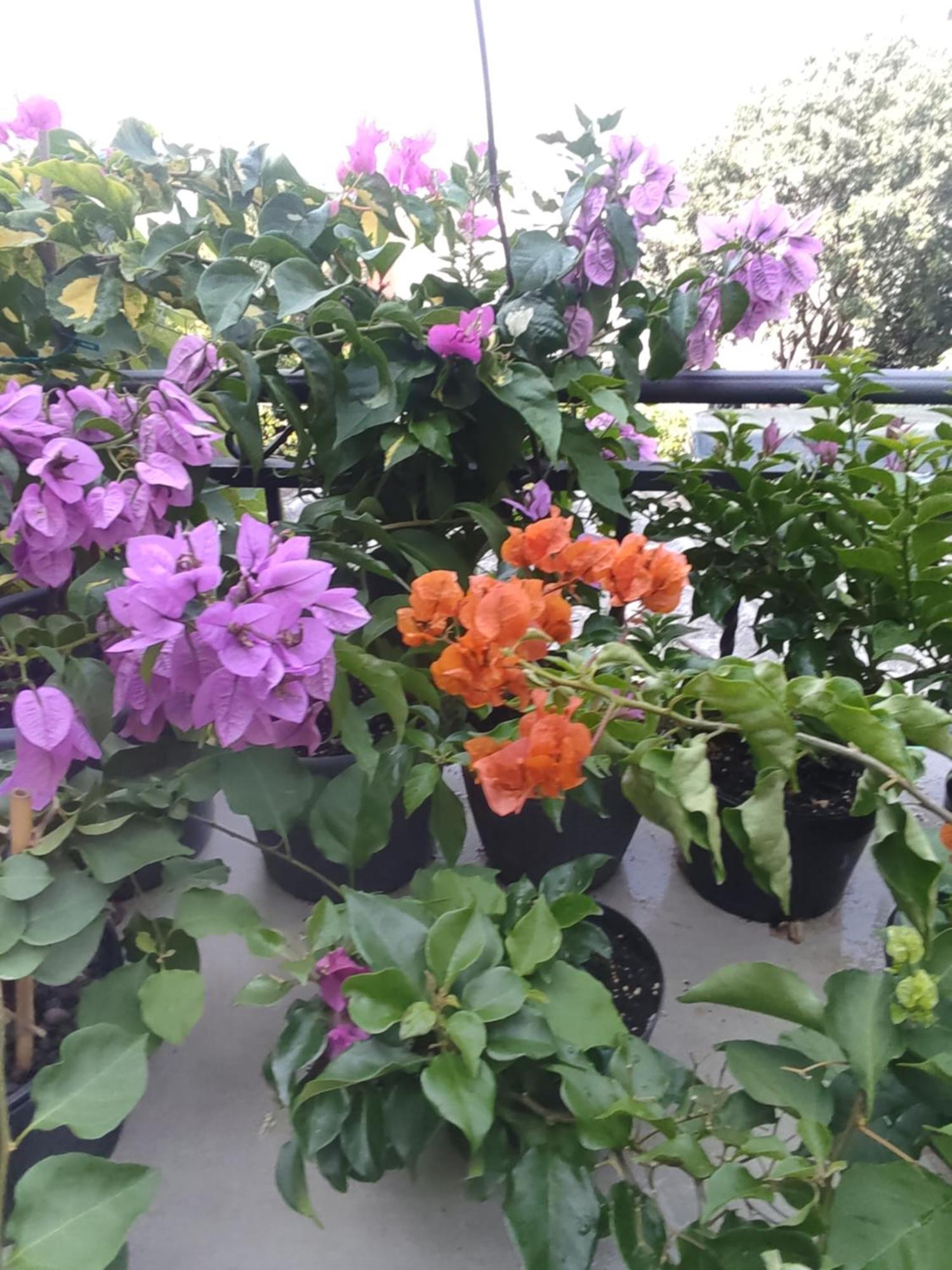Apartman Bella Vista Rijeka Apartment Luaran gambar